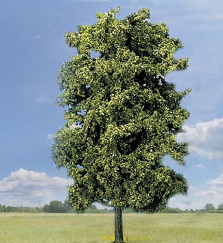 Noch H0 21780 Grote Linde boom