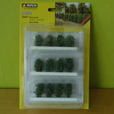 Noch H0 21547  Thuja Haag