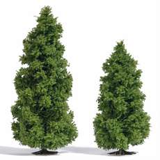 Busch H0 / TT 6123  Larix bomen